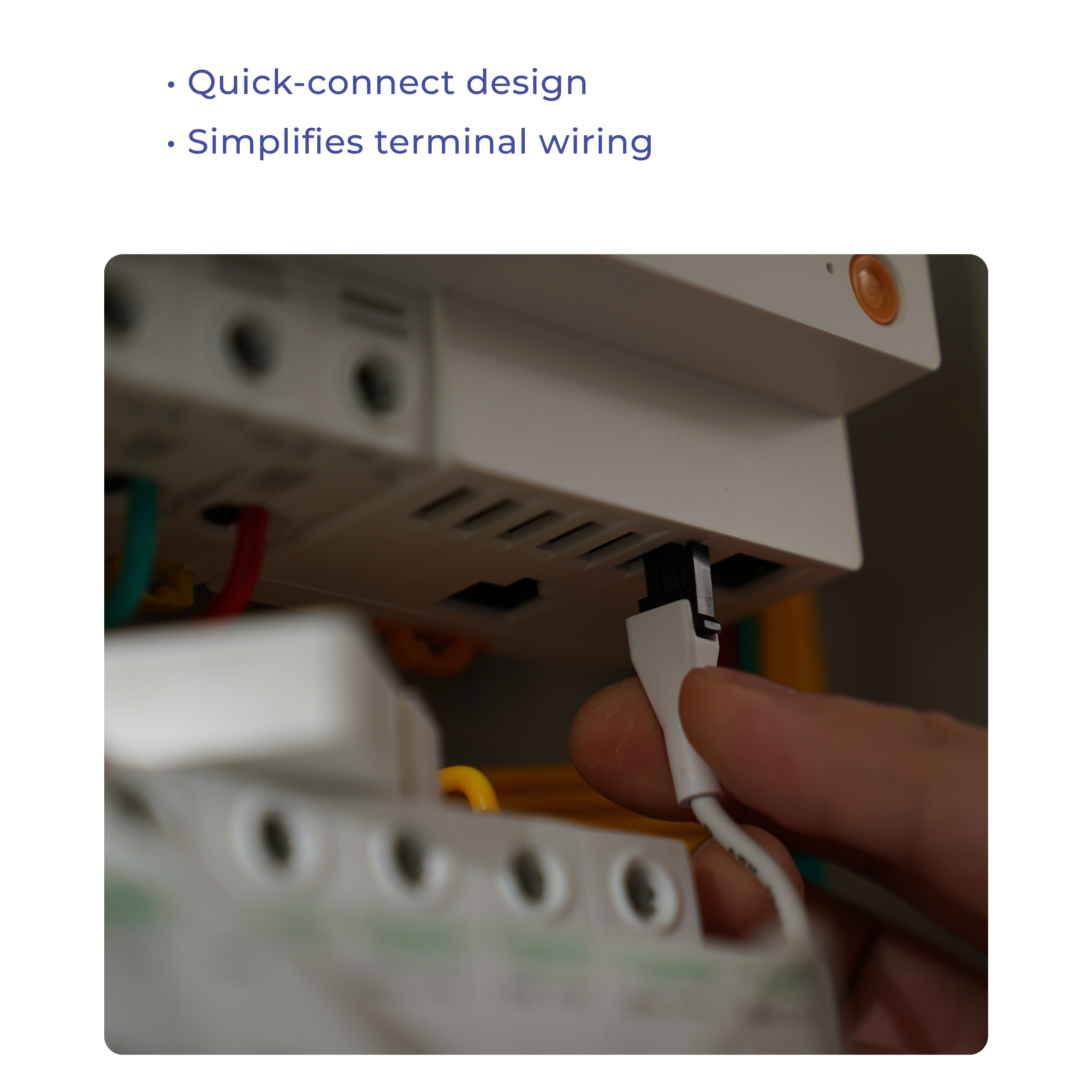 ecoSensor
